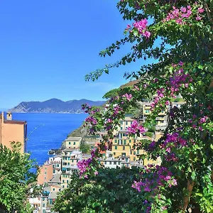 https://5-terre-for-you.hotelitalianriviera.com